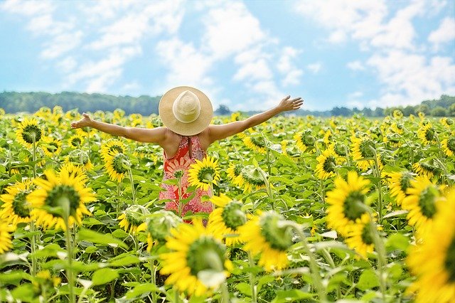 A person in a straw hat and red dress stands with arms outstretched in a field of blooming sunflowers under a bright,...