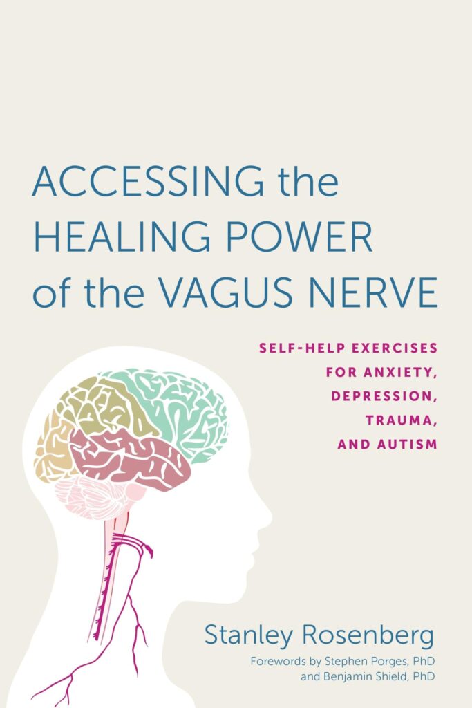 Book cover for Accessing the Healing Power of the Vagus Nerve by Stanley Rosenberg, featuring an illustrated human head...