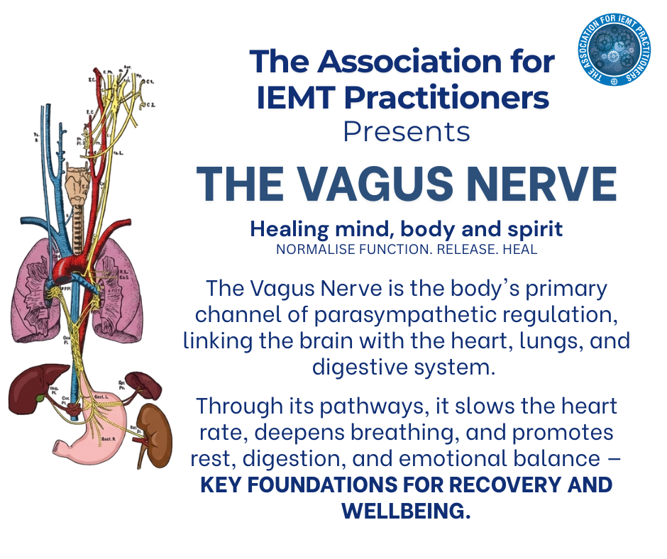 Poster Main Course Vagus Nerve